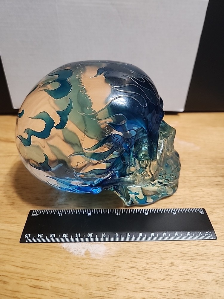Translucent Resin Skull