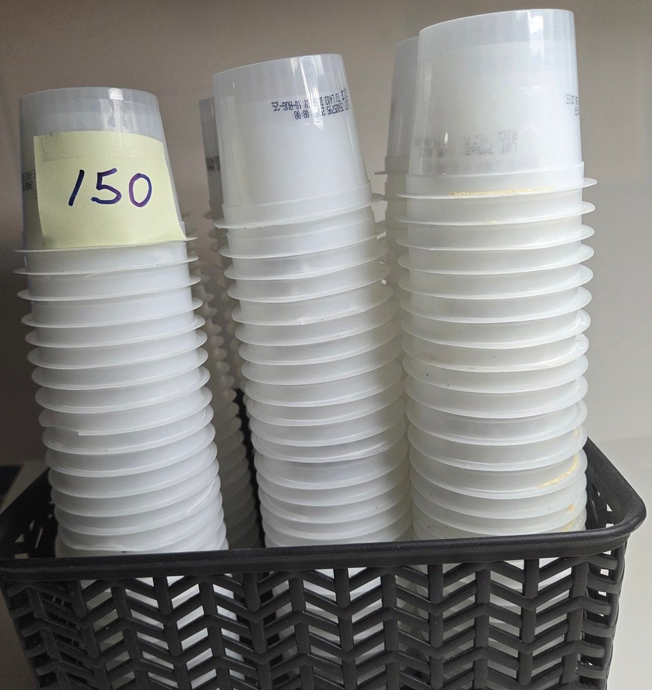 Pudding Cups Bulk 150 Count Large 5.5 oz Snack Pack Pudding Cups