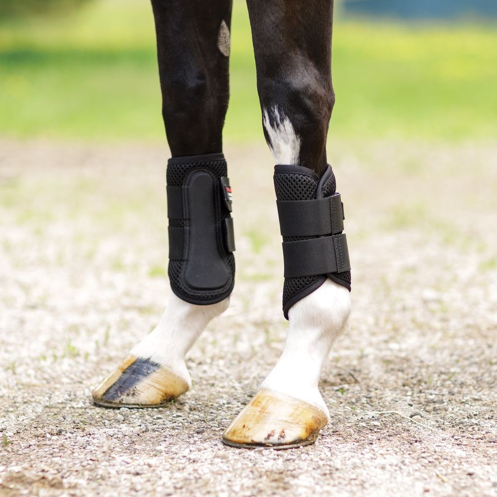 Schneiders Breathable Mesh Brushing Boots for Horses | Black | Various Sizes