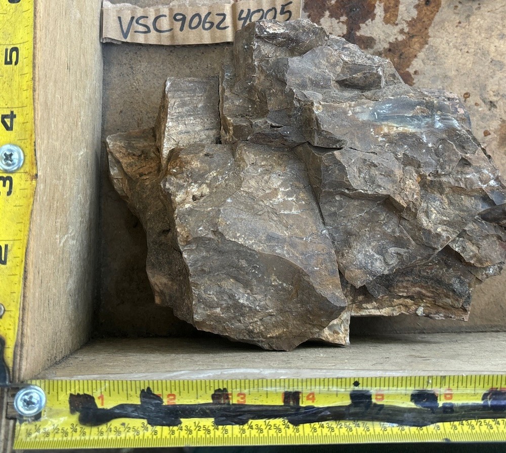 Silver Creek Junction petrified wood