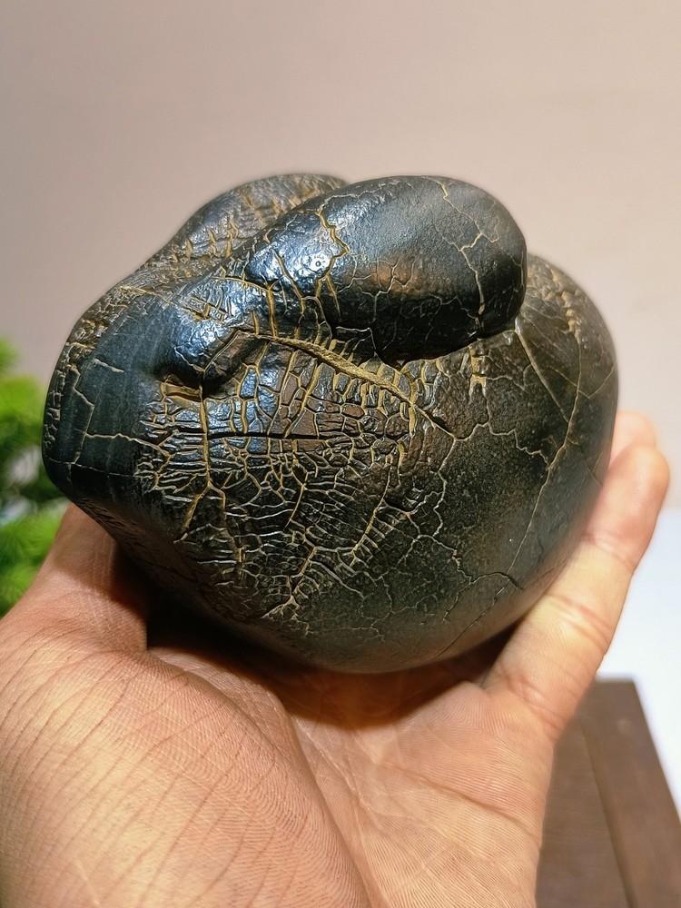China Natural stone "tortoise back pattern" stone Moire stone 108816