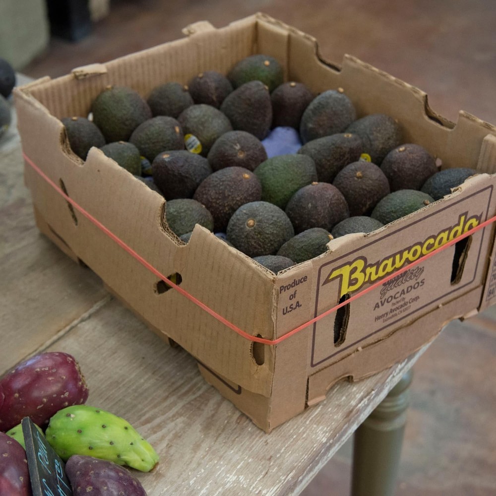 Alliance Rubber 08997 SuperSize Bands, Assorted Large Assorted,