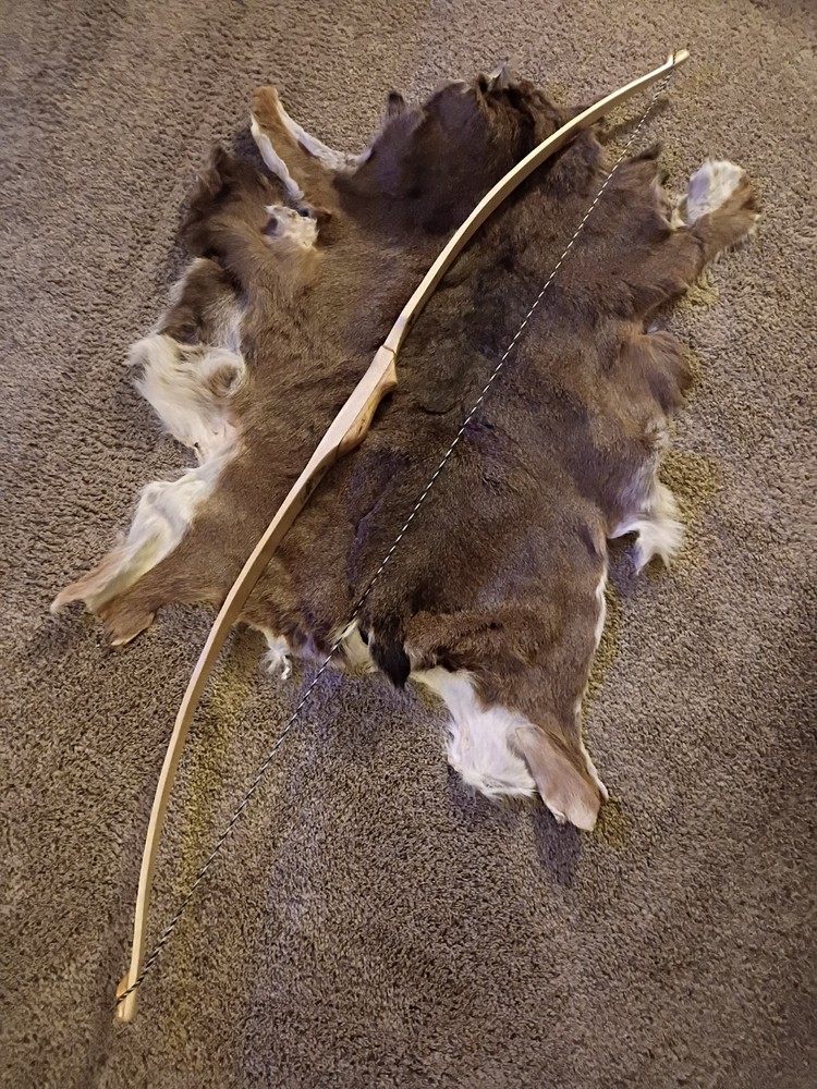 American Flatbow "Barn Owl"🦉