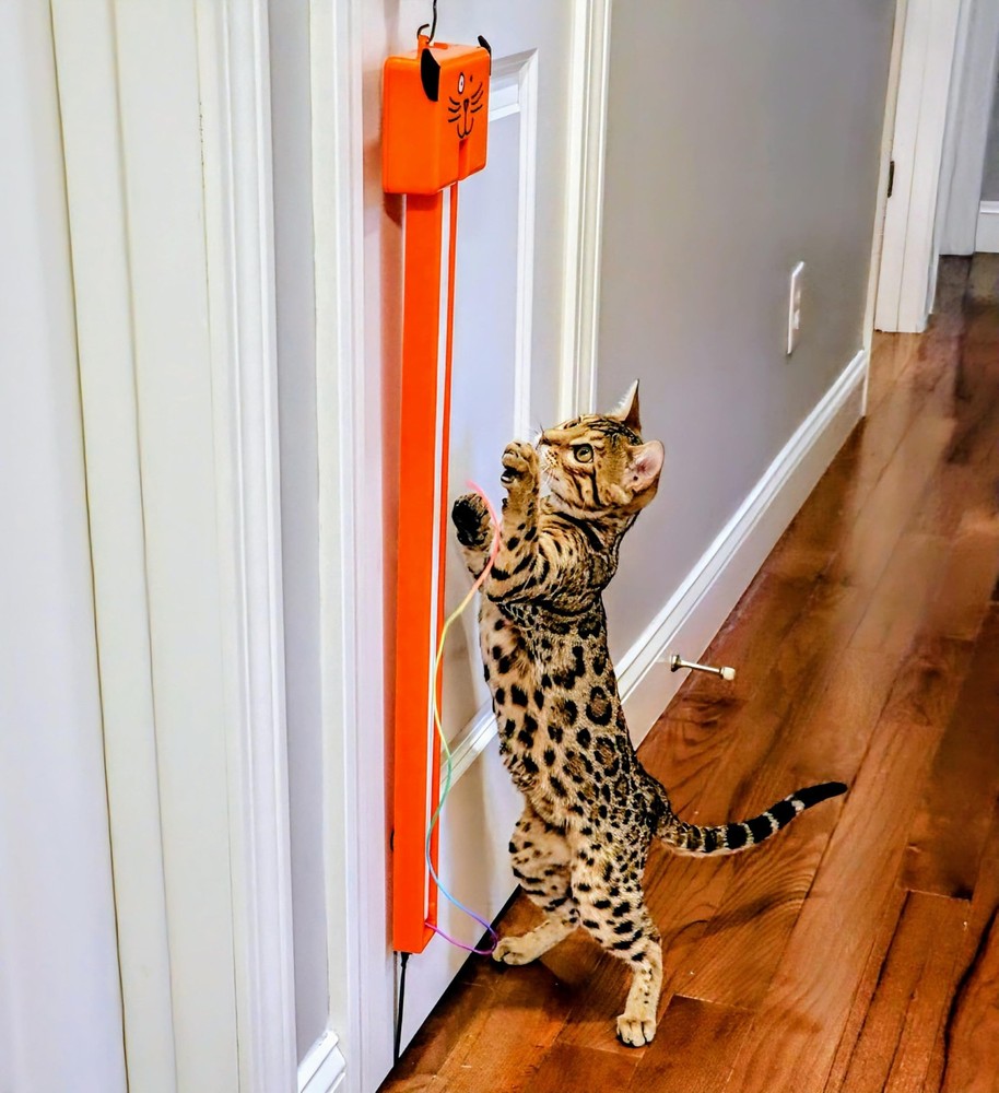 FLING-AMA-STRING Automatic cat toy: Interactive Cat Toy for Bored Indoor Cats...