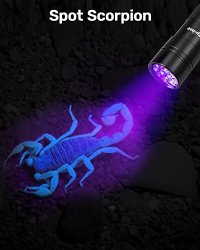 Blacklight Flashlights Uv Flashlight 12 Led 395nm 2 Pcs Black Light Flashlight