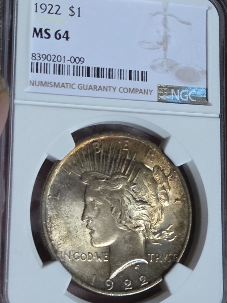 1922 $1 Peace Dollar NGC MS64 Toned