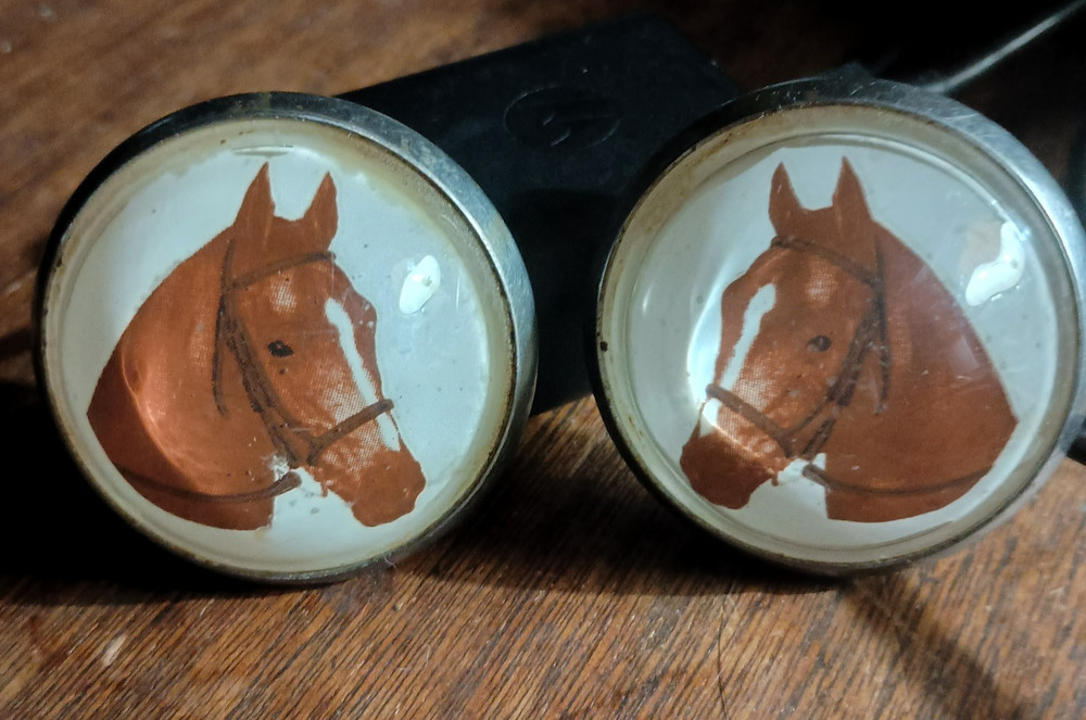 Bridle Loop Rosettes for Headstall Harness Glass Dome