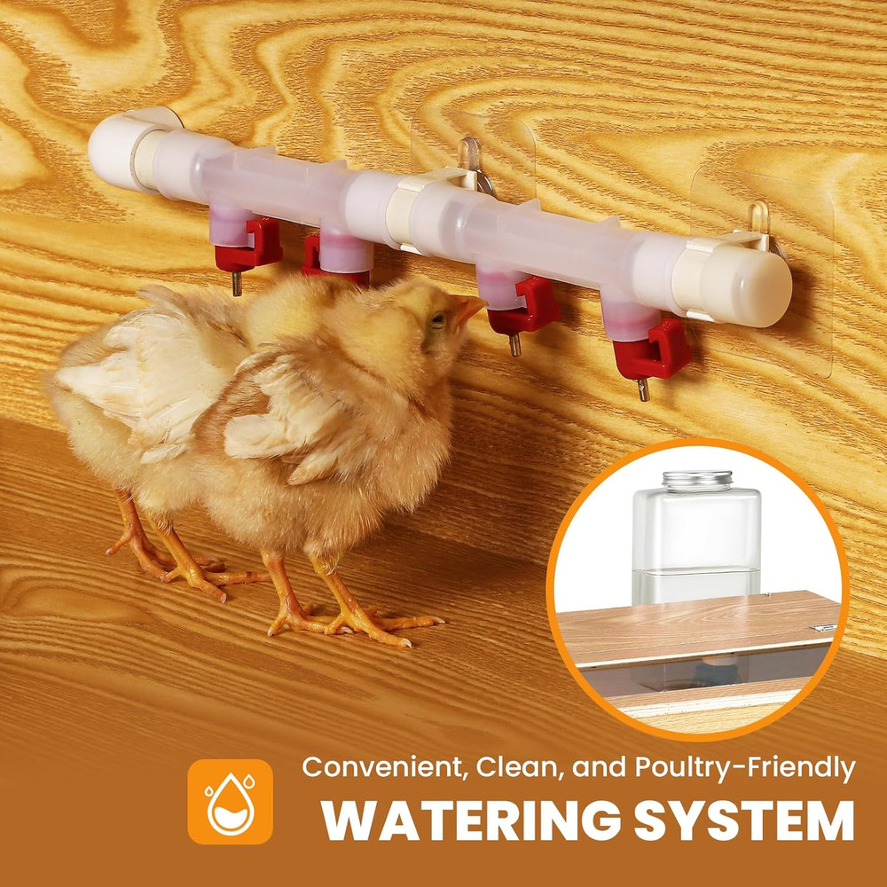 Brooder for Chicks, 32" Chicken Brooder with Feeding & Watering System, Upgrade