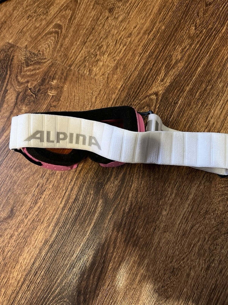 Alpina Singleflex Ski Mask