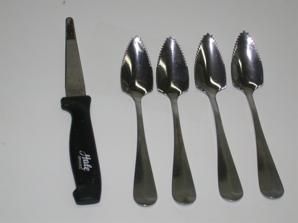 5 Pcs Enjoy Grapefruit Spoons & Serrated Grapefruit Knife ~ Stainless Steel