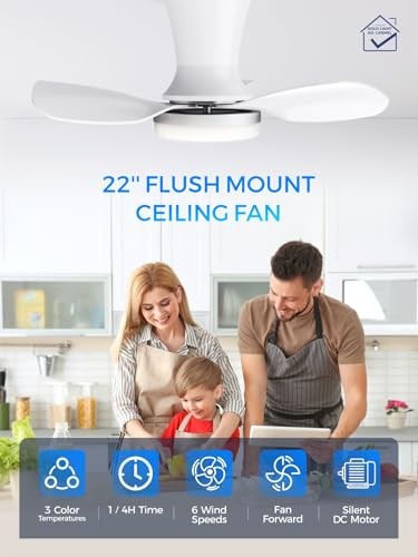 Ceiling Fans with Lights, App&Remote Control, Low Profile 22 Inch Silver White