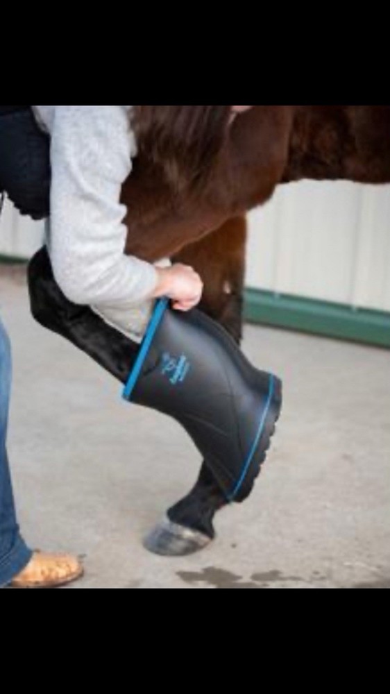 Easyboot Remedy Soaking, Icing, And Rehab Size Large Left Boot Black + Blue