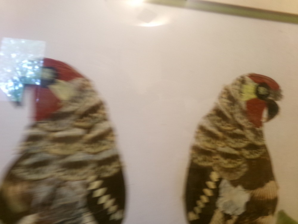 ART BUTTERFLY WING PARROTS Framed