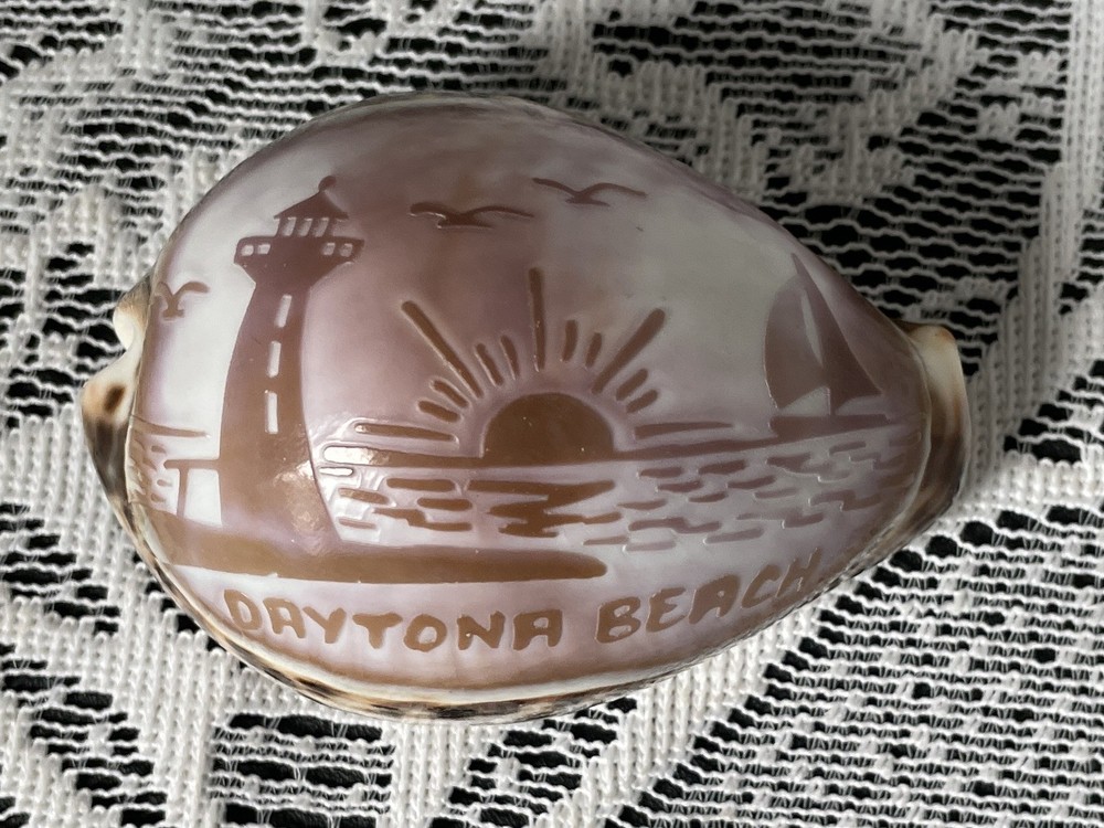 Daytona Beach Florida Sea Shell Souvenir