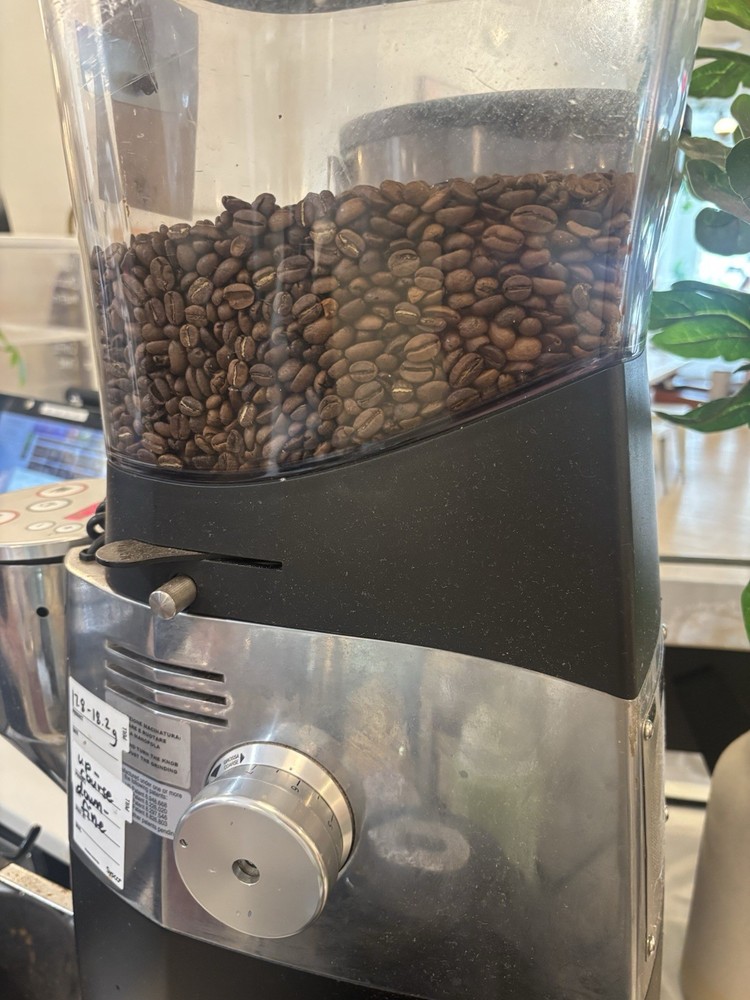 Mazzer Kold Robur Electronic Grinder Conical Burr (186C)