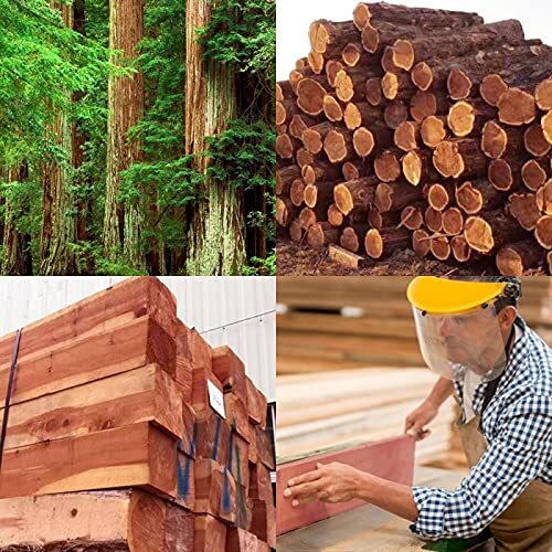 Cedar Blocks Cedar Hang Ups for Clothes Storage Cedar Sachets for for Closets...