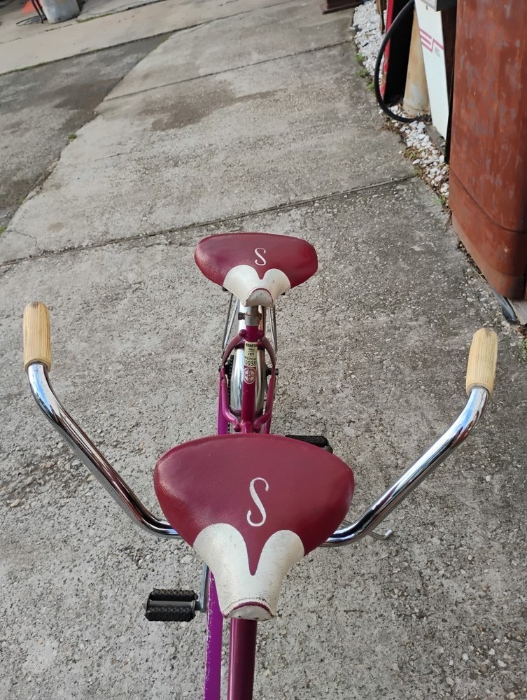 Schwinn Twinn Bicycle