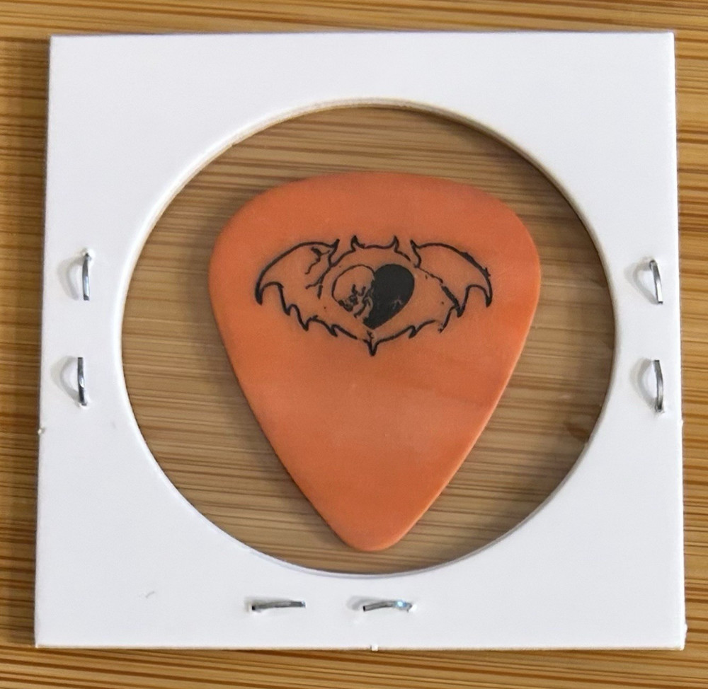 Fall Out Boy Tour Guitar Pick