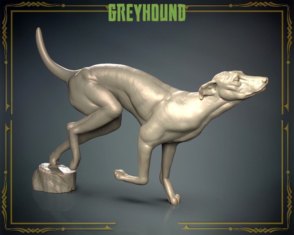 Greyhound | Animal 3 | 3dIPStudios | D&D Roleplaying Miniature 32mm