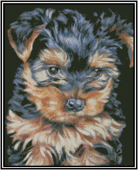 Yorkshire Terrier Counted Cross Stitch CHART No.16-172