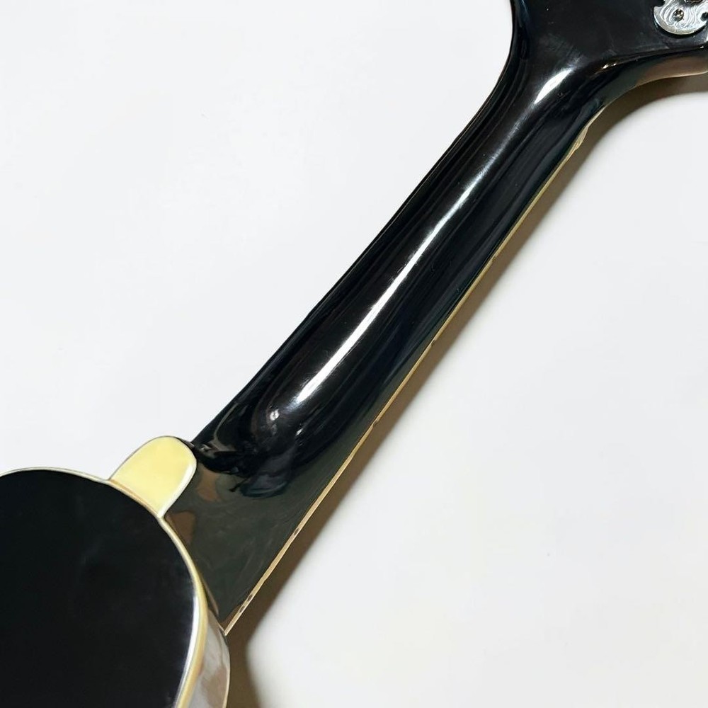 [Good condition/new strings] Aria AM20 8 string mandolin hard case included