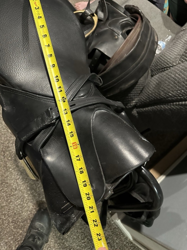 Ansur Treeless Saddle English