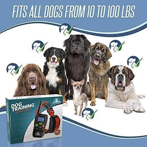 PT0Z1 Waterproof Dog Training Shock Collar - Remote with 1200ft Range