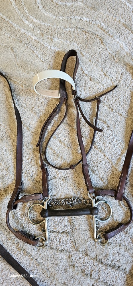 Vintage Bridle With Rubber Bit