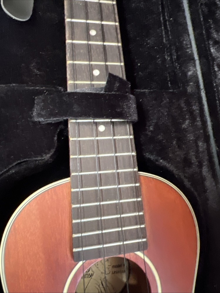 lucky penny lp290a5 Uke