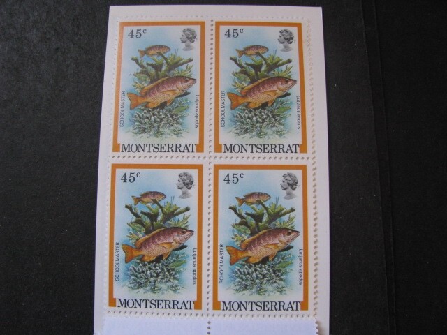 Montserrat Stamp Complete Fish Booklet from 1981 Never Hinged Unused