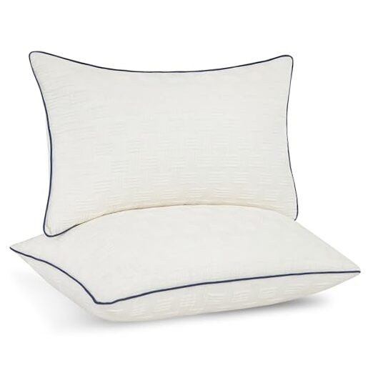 12x20 Pillow Inserts Set of 2 - Square Decorative Throw Pillows 12*20(2 Packs)