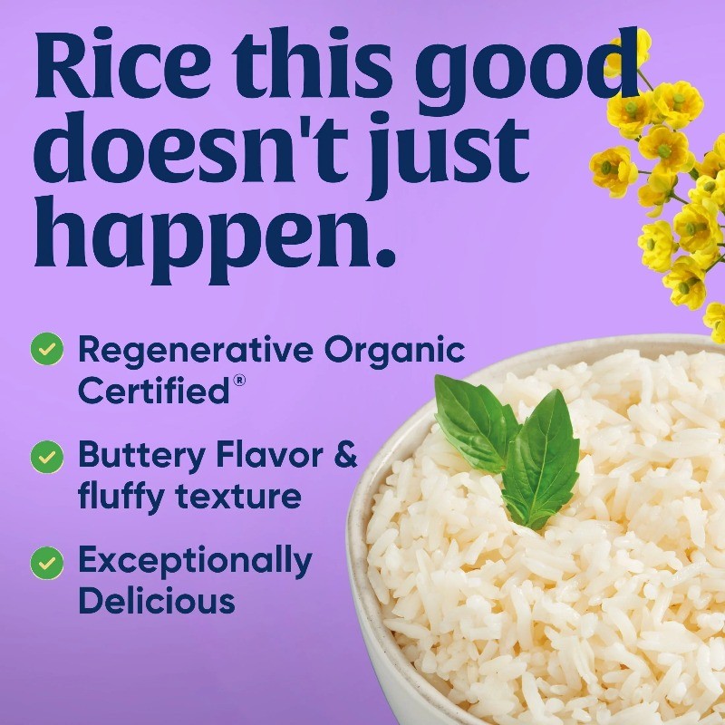 (3 pack) Lundberg Organic Jasmine Rice - Regenerative Organic Certified