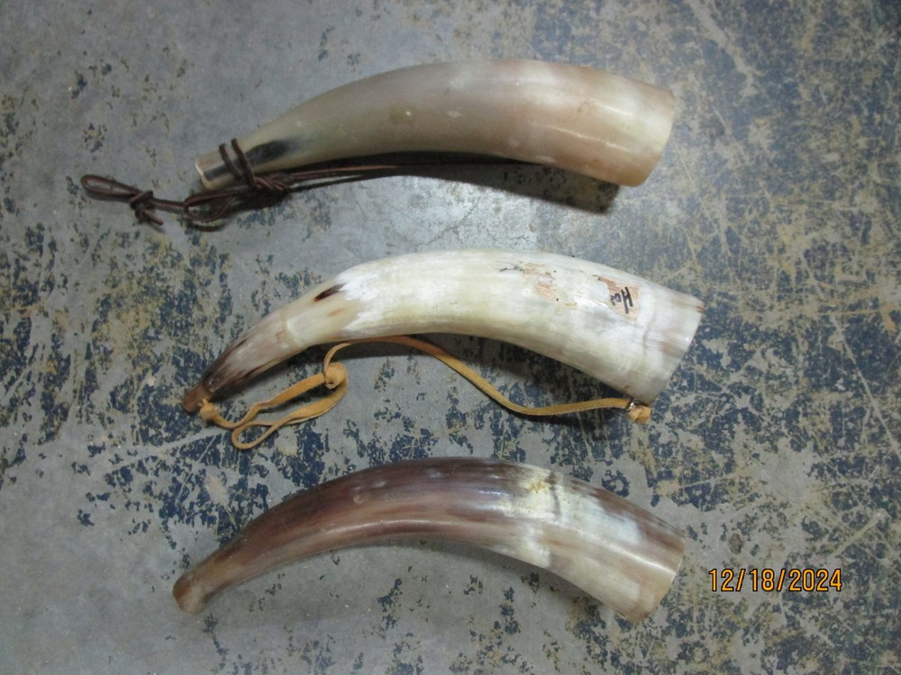 (3) 12" Black Powder Horns