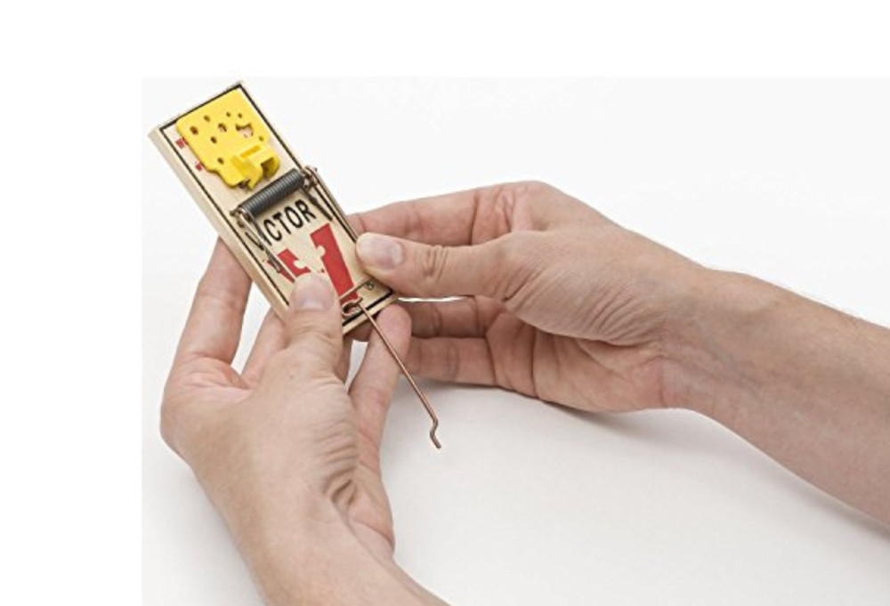 Victor Easy Set Wood/Plastic Mouse Trap 8-Count