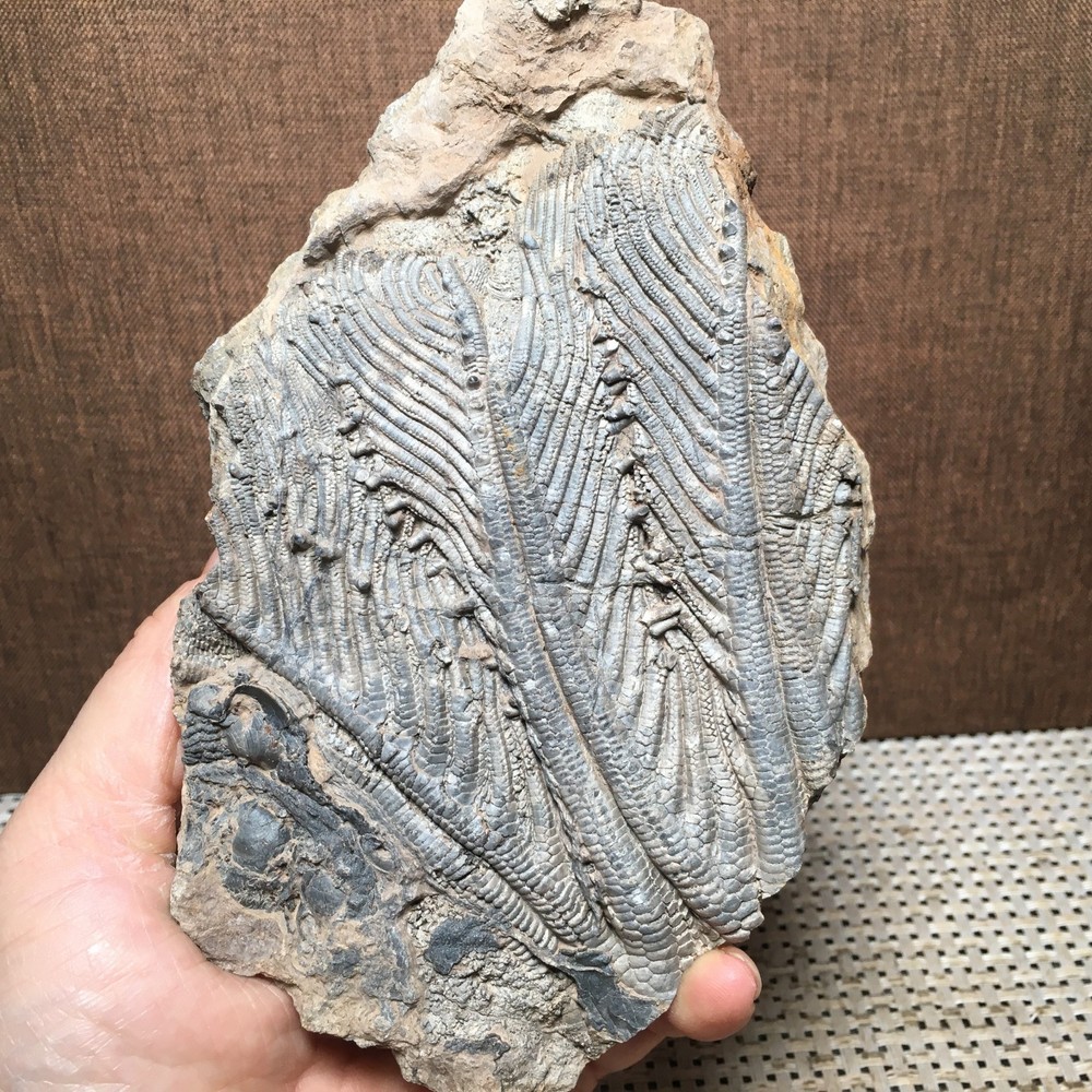 508g Natural crystal specimens md3198