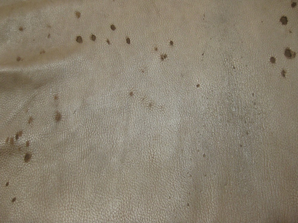 Brown Top Grain Deer Leather # 0010010 Row 90