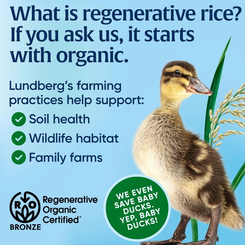 (3 pack) Lundberg Organic Jasmine Rice - Regenerative Organic Certified
