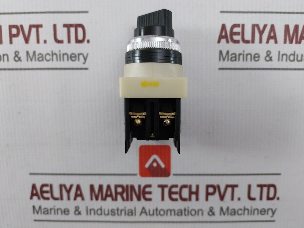 FUJI ELECTRIC AH25-P2 2-Position Command Selector Switch 250V/6A