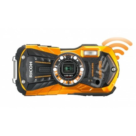 Hampton 04623 2'x27' Ratch Tie Down (13004623)