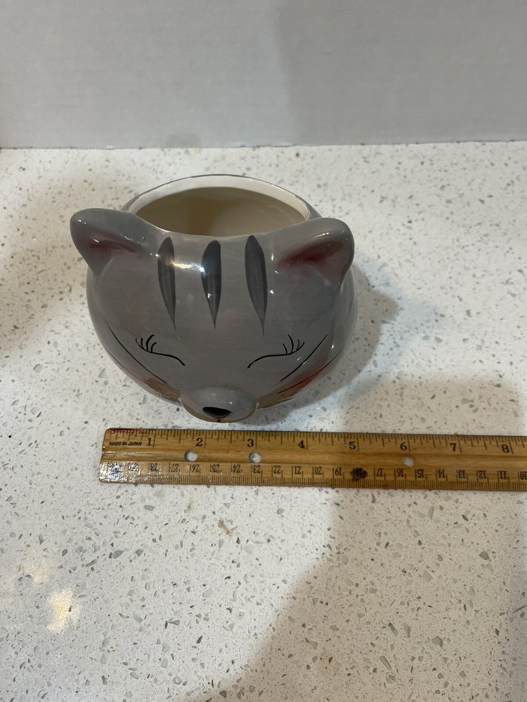 Gray Cat Sweet Eyes Planter Storage Ceramic