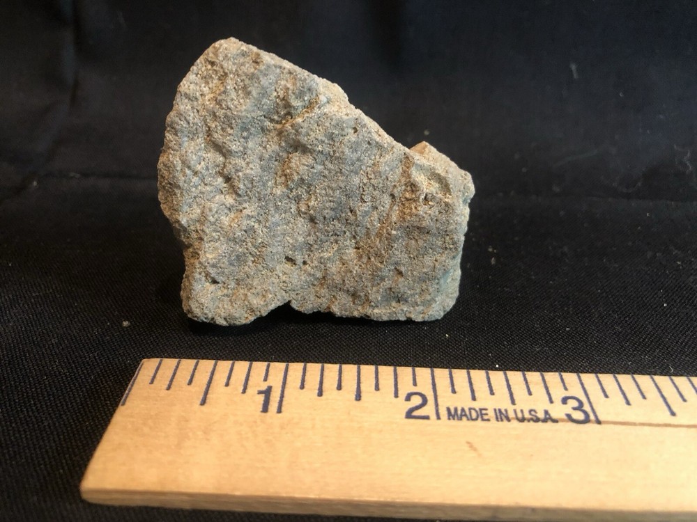 Fossils From West Virginia Mountain