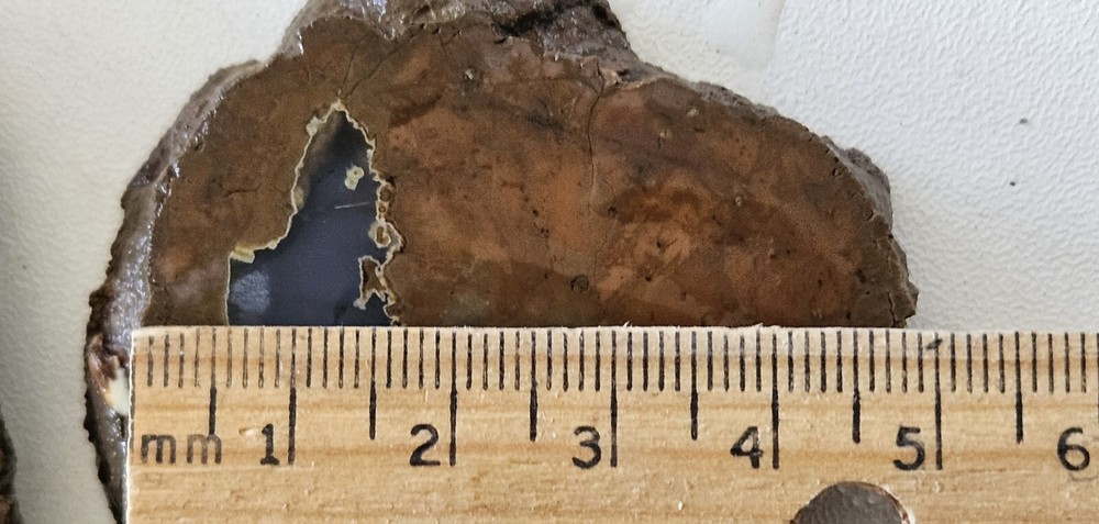 Two Priday Agate slabs Unpolished Oregon 89 Grams