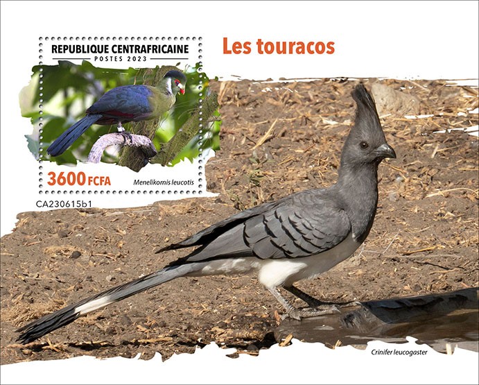 Turacos