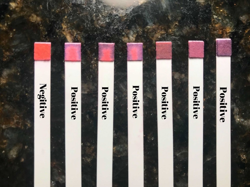 50🔥Canine Ovulation Fertility 🐾Testing PINK Strips Progesterone Test @ Home🌸