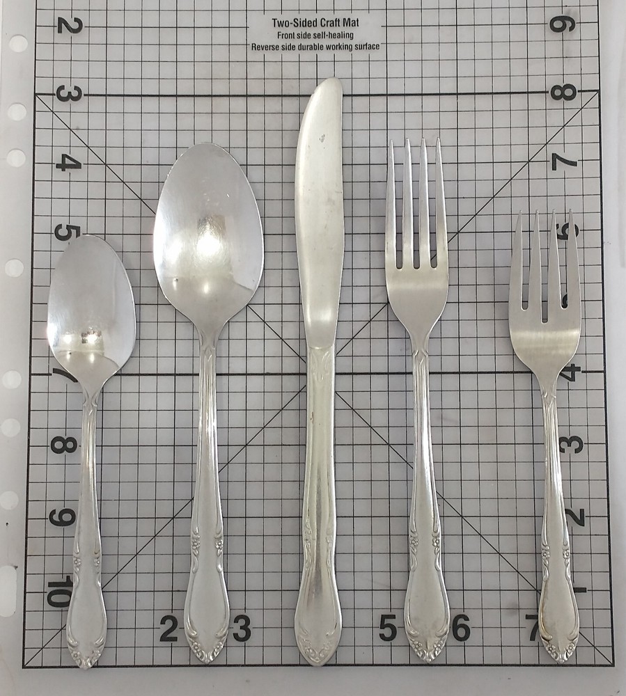 Oneida Plantation Custom Stainless Flatware Service for 8 Coffee Service 48 Ct
