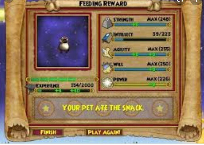 Wizard 101 Pet Training Service Per hour