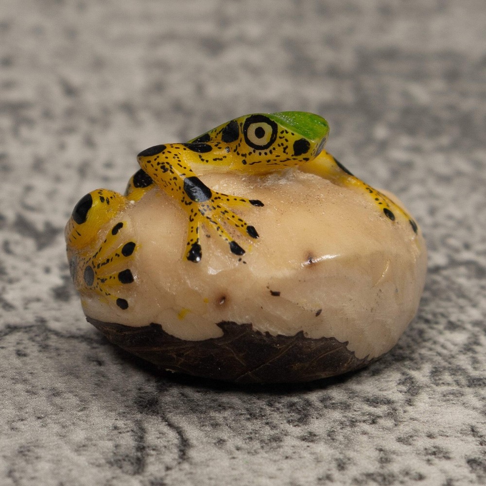 Poison Dart Frog Tagua Carving