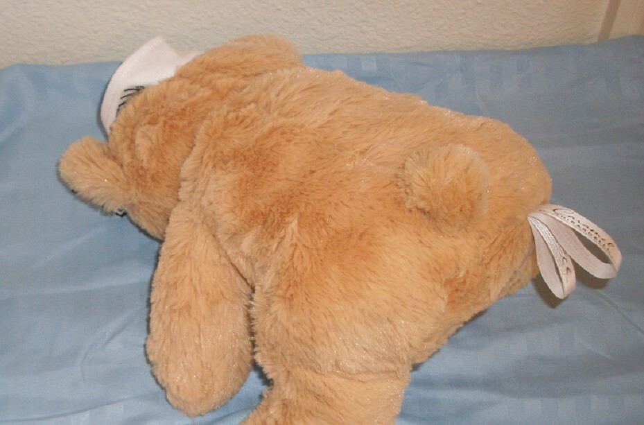 Ghirardelli Caramel Bear Plush New with Tags Super Soft