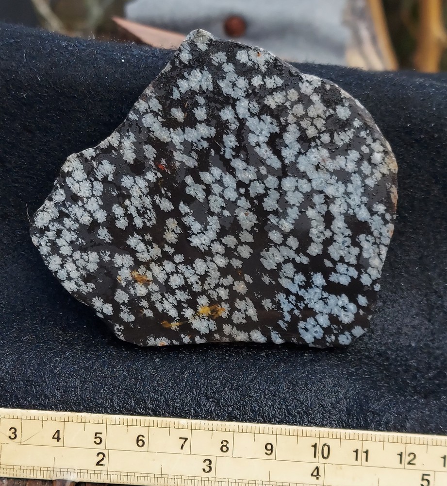 Snowflake Obsidian Slab- small flakes.