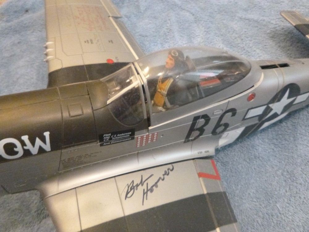 WWII MODEL P-51
